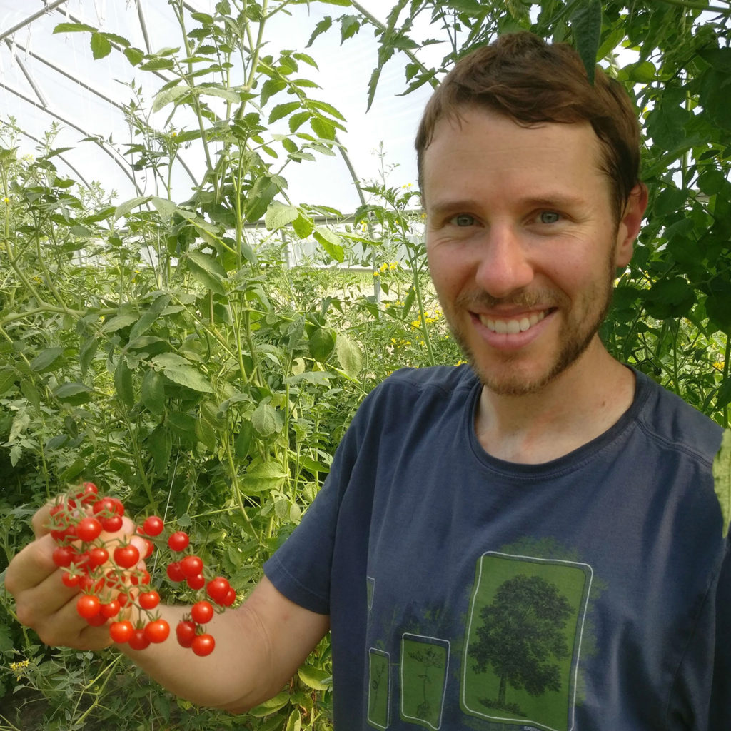 a bearded man holding some tiny tomatoes in a greenhouse