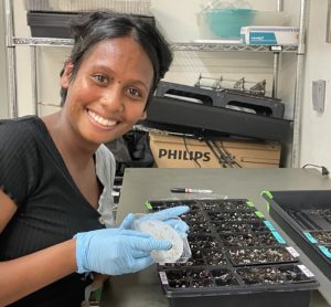 A smiling Filipino woman with short dark hair and blue lab gloves holds a petri dish with germinating seeds; a plant tray full of soil is seen in the background